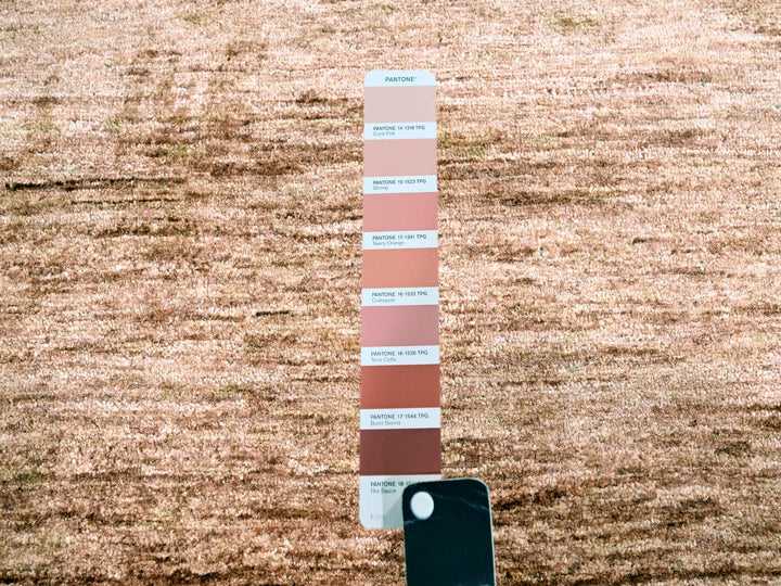 8'11" x 12'0" New Hand Knotted Brown Sari Silk Rectangle Oriental Rug - MOA10276073