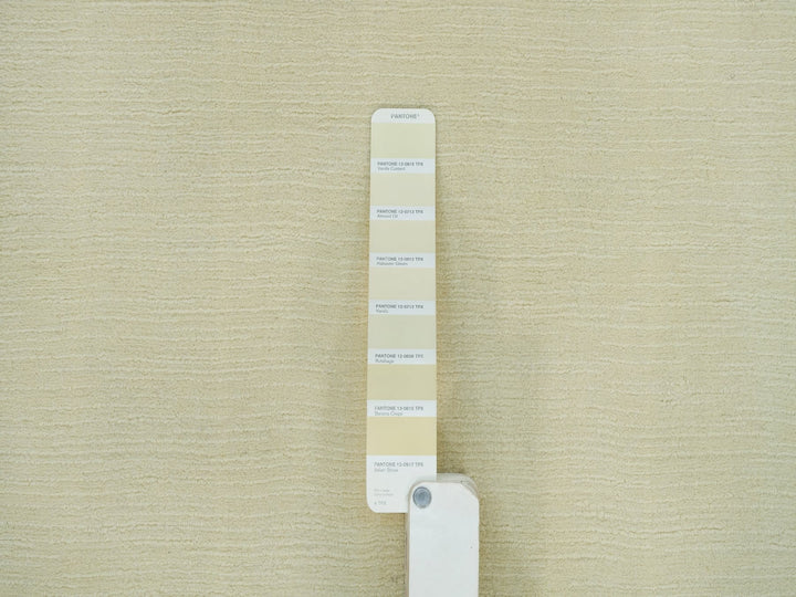 2'0" x 3'0" New Hand Loomed Ivory Wool and Plant based Silk Rectangle Oriental Rug - MOA10290174