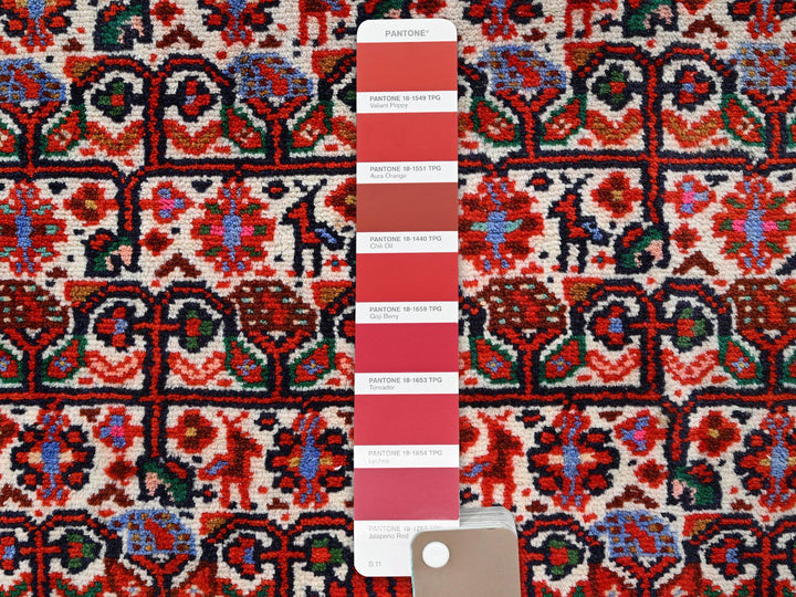 2'8" x 6'6" New Hand Knotted Ivory Wool Runner Oriental Rug - MOA1021875