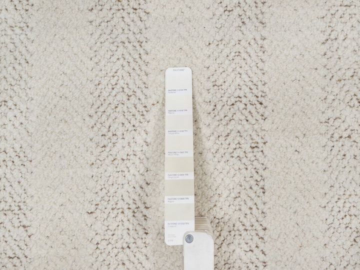 9'1" x 12'0" New Hand Knotted Ivory Wool Rectangle Oriental Rug - MOA10292150