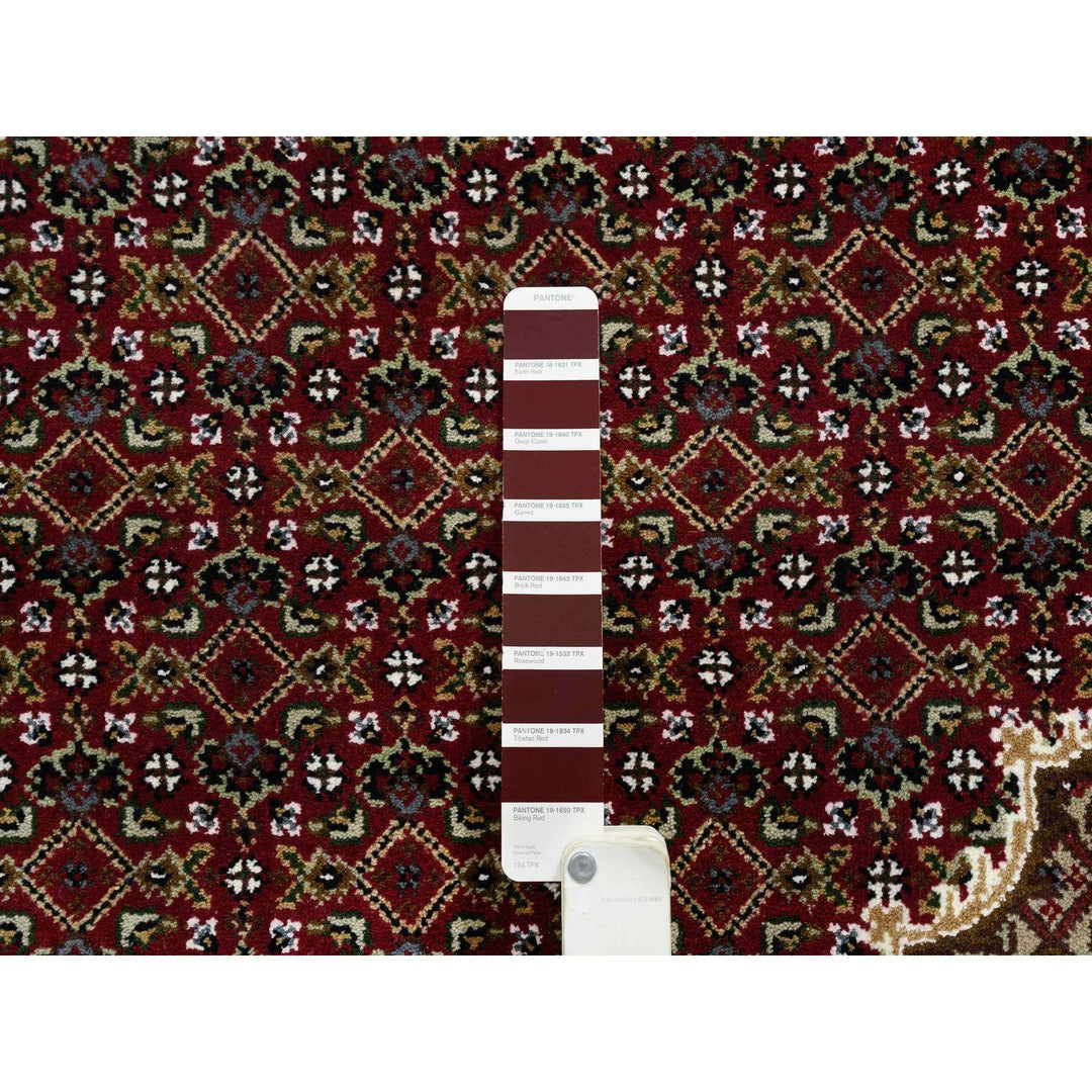 9'2" x 12'3" New Hand Knotted Red Cotton Rectangle Oriental Rug - MOA10265044