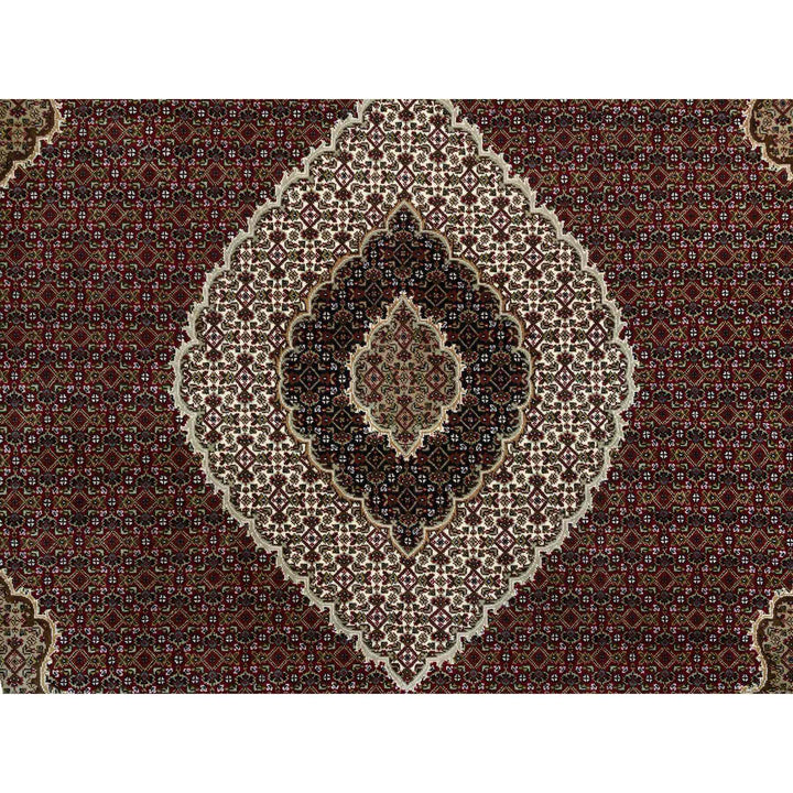 9'2" x 12'3" New Hand Knotted Red Cotton Rectangle Oriental Rug - MOA10265044