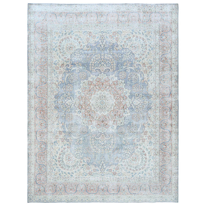 10'0" x 13'0" Vintage Hand Knotted Blue Cotton Rectangle Oriental Rug - MOA10281270