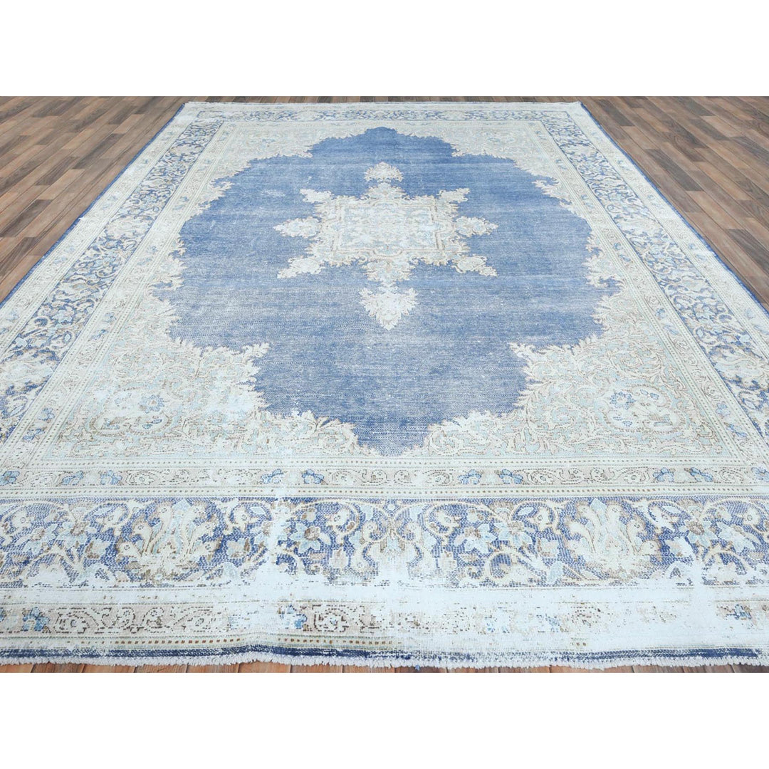 8'9" x 12'0" Vintage Hand Knotted Blue Cotton Rectangle Oriental Rug - MOA10281608