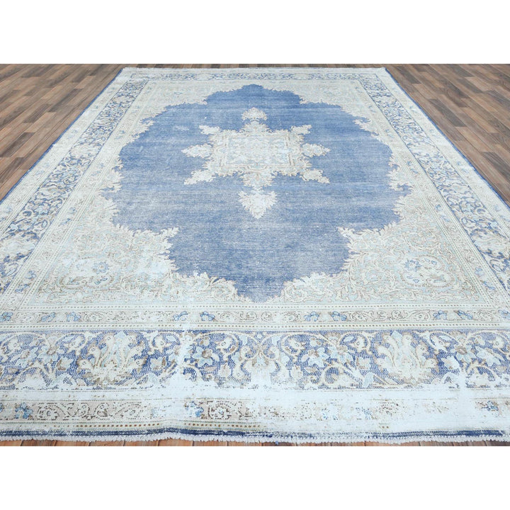 8'9" x 12'0" Vintage Hand Knotted Blue Cotton Rectangle Oriental Rug - MOA10281608