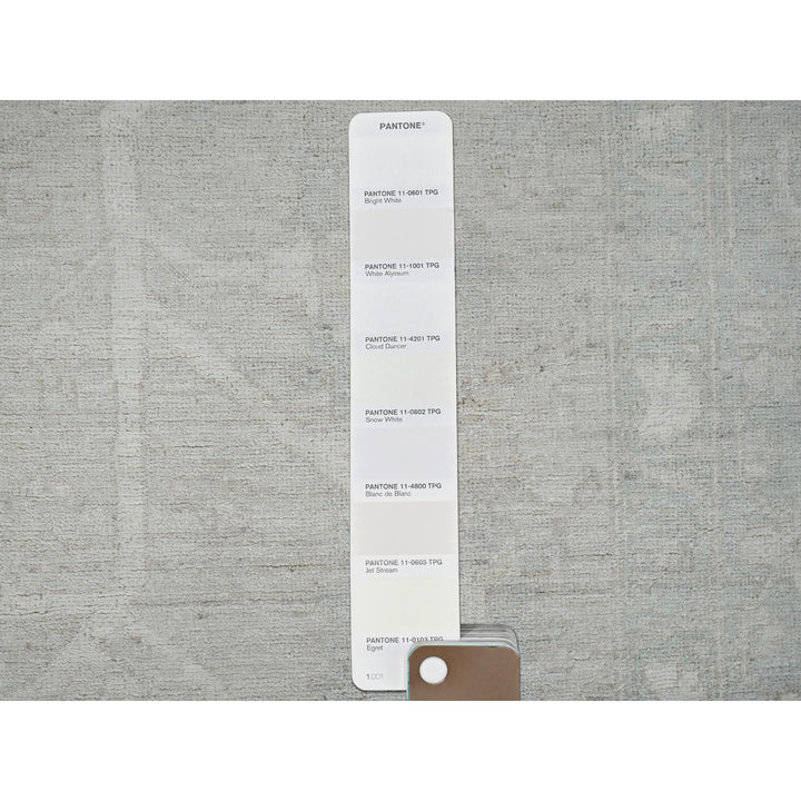 9'0" x 11'10" New Hand Knotted Ivory Wool Rectangle Oriental Rug - MOA102921